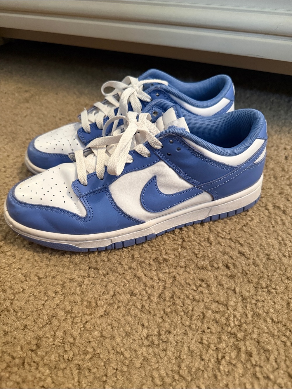 Nike Polar Blue Dunks Unisex Mens 8 Womens 9.5